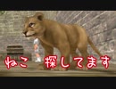 FS日記19　ネコ探し前編