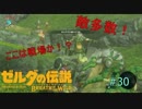 【ゼルダの伝説BW】戦場か？敵が多いぞ！＃30【ボソボソプレイ 】