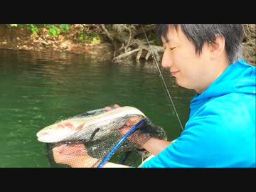 トラウト釣りに行こうZE！