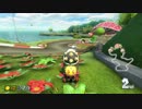 【マリオカート8DX】毎日Wi-Fi対戦Lap143【プレイ動画】
