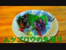珍食珍道中　40品目　夜明茶屋「ムツゴロウの生造り」