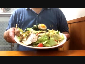 ノーマルでもデカ盛りのとことん冷やし麺