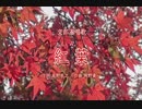 文部省唱歌「もみじ」Bohemian Rhapsody (Queen) Remix