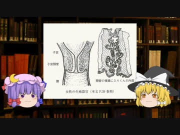 【子宮頸管】ゆっくり魔理沙と学ぶ夜の生物学５【ゆっくり解説】