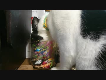 ビンの中身はなんだろな？