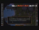 教養としてBaldur's Gateを嗜む #114