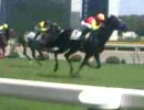 【競馬】2008.5.4 新潟競馬８R4歳以上500万以下