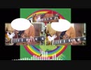 ASIAN KUNG-FU GENERATION「ループ&ループ」弾いてみた。