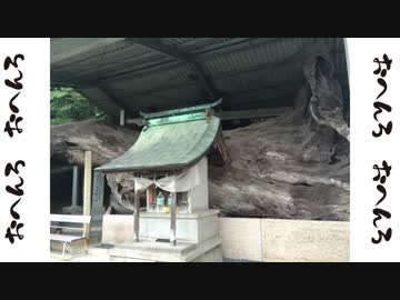 ゆるりおへんろ 歩き旅 29日目