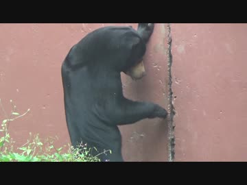 【東山動物園　シャバーニやケイジくん以外にも愉快な動物達がっ！】