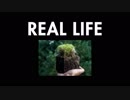 マイクラを現実でやってみたｗ　Minecraft vs Real Life