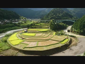【車載動画】台風18号直後のあらぎ島棚田（和歌山北部から）