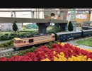 鉄道模型 自由形運転会 Nパークとだにて　幻想鉄道137