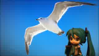 SEAGULL