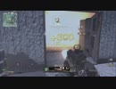 ゆっくり実況者の生声対戦～お守り一つ50円～