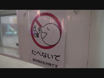 スタンプラリーでお米1年分もらってみたい　富山編2