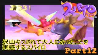 【スパイロ・ザ・ドラゴン】コドモドラゴンの冒険【実況】 Part12
