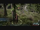 DARK AND LIGHT Attack振り多めでの採取の検証