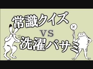ポンコツ × 常識クイズ × 顔面洗濯バサミ