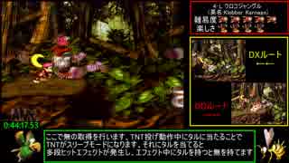 【ゆっくり解説】スーパードンキーコング2 102%RTA 1:27:38(3/5)