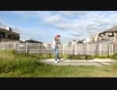 【あぶにぃ】バタフライ・グラフィティ【踊ってみた】