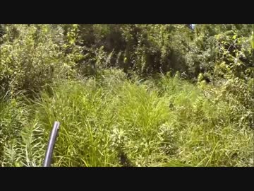 狩猟　猟犬とゆく猪猟　Part57