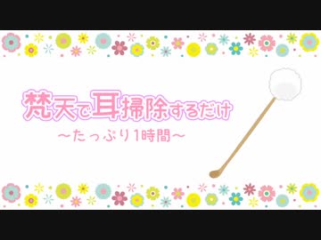 【ASMR】梵天で耳掃除するだけ（声無し）