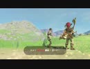 自由すぎるリンクの冒険【プレイ動画その１６５】
