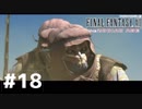 青春の思い出FF12をやり込み極めプレイ(FF12TZA)part18【実況】
