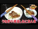 【おとなのねこまんま555】Part103_うなぎの菜めしまんま