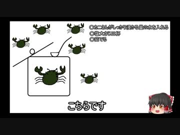 ゆっくり解説！　モクズガニ捕獲作戦！　アクア②