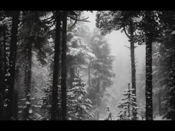 除夜の鐘と木枯らしと雪を踏む音【1時間】（睡眠用・作業用BGM）