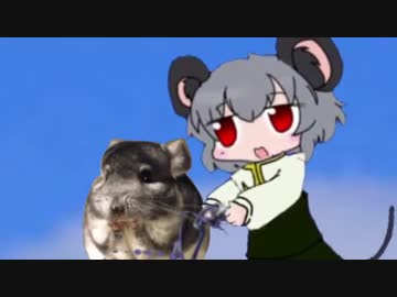 チンチラに恋したNYN姉貴