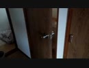 なんぞこれ家のトイレのドア