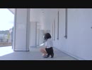 【短足】ライアーダンス踊ってみた【のむちーず】