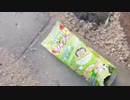 【発掘】ガリガリ君青りんごヨーグルト味食べてみた！ syamu