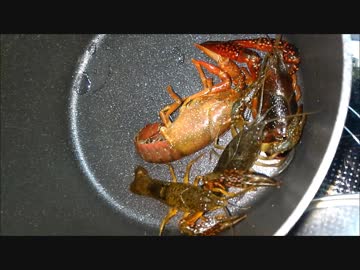 一般人がカメ五郎の真似して食べてみた『ザリガニ食編』