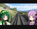 ボイロの車窓から「BergensBanen」[VOICEROID+旅行]