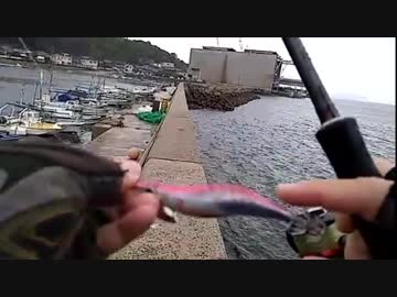 台風直撃エギングタイムシフト20170916