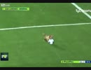 サッカーの試合中に犬が乱入し、インタビューを受けるｗｗｗ