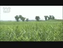 GREENの世界　有賀拓郎 (1)