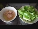気まぐれプチ食事制限ダイエット 113日目