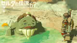 【実況】新たな冒険へ！ゼルダの伝説 ブレスオブザワイルド ぱーと67