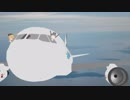 機長のコツメカワウソです