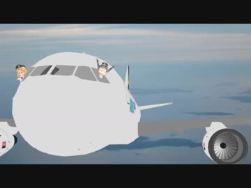 機長のコツメカワウソです