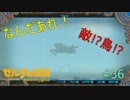 【ゼルダの伝説BW】鳥!?ブラッディムーン再び＃36【ボソボソプレイ 】