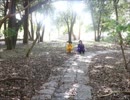 【数字松】きょうもハレバレ踊ってみた+α【ﾐﾆﾁｬﾑ】