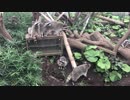 アライグマ民族大移動