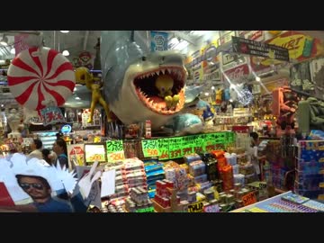 沖縄行って来た！（1日目）首里城と国際通り！