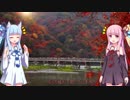 【歌うボイスロイド】 渡月橋～君 想ふ～ 【歌う琴葉姉妹】